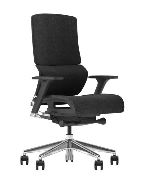 Ergonomic Office Chair