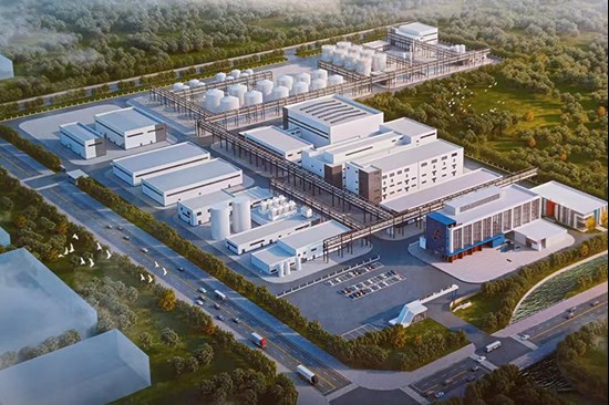 Dongrui Biomaterials (Dalian) Long-chain Dicarboxylic Acid Industrial Chain Project and Power EPC Contracting Services