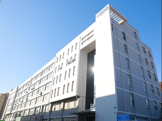 2009